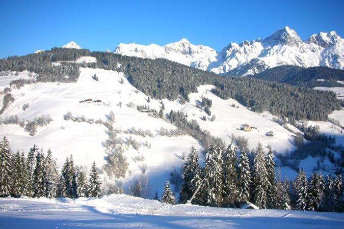 Ferienwohnung Klappacher Maria Alm am Steinernen Meer Luaran gambar