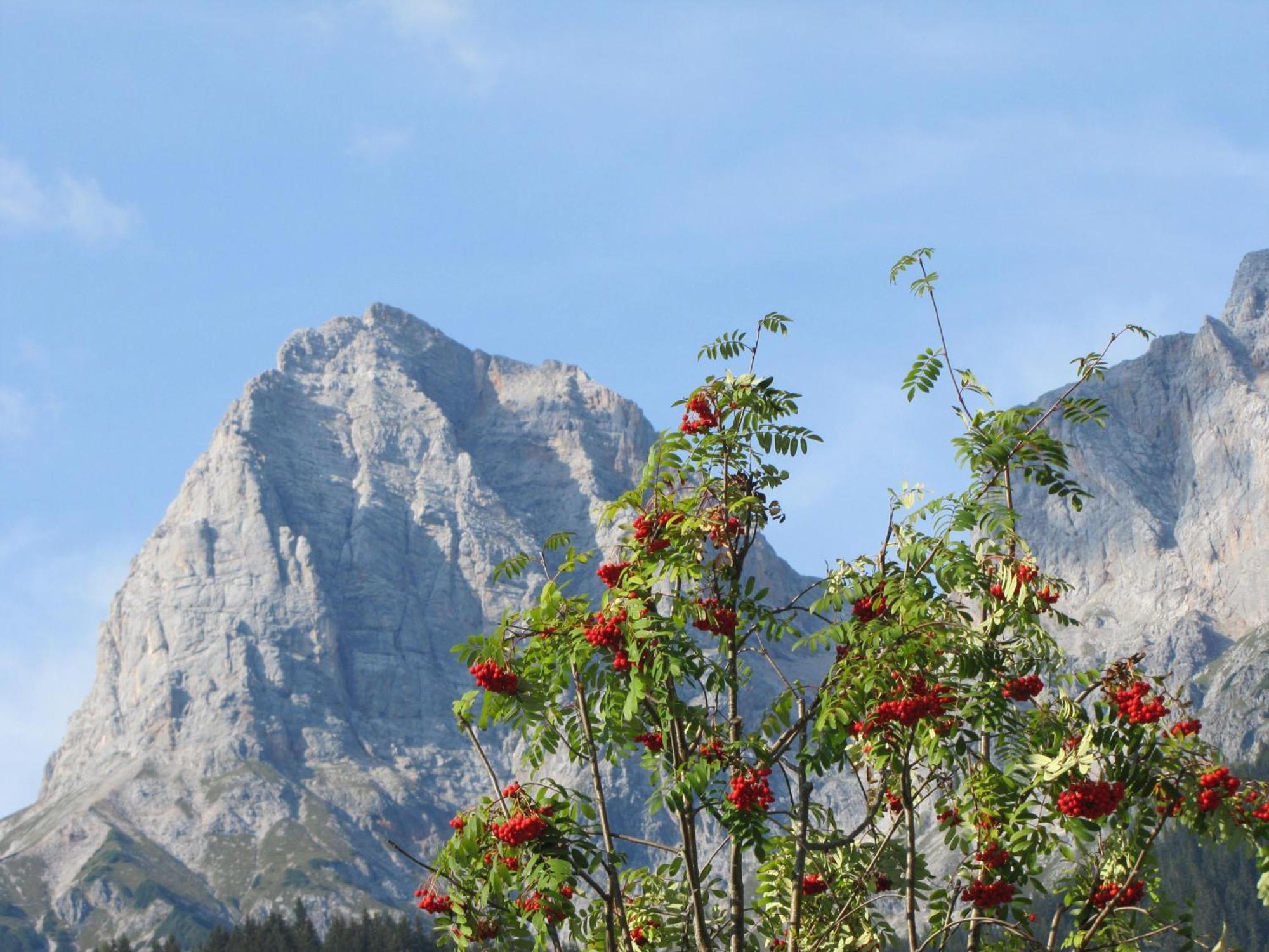 Ferienwohnung Klappacher Maria Alm am Steinernen Meer Luaran gambar