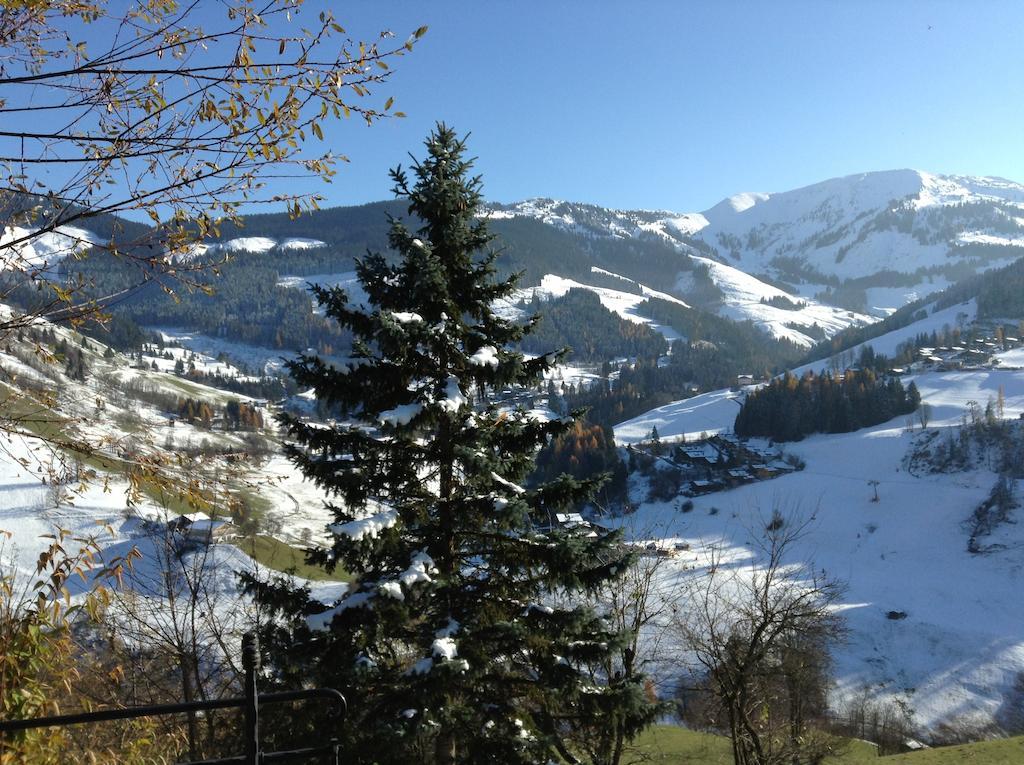 Ferienwohnung Klappacher Maria Alm am Steinernen Meer Luaran gambar