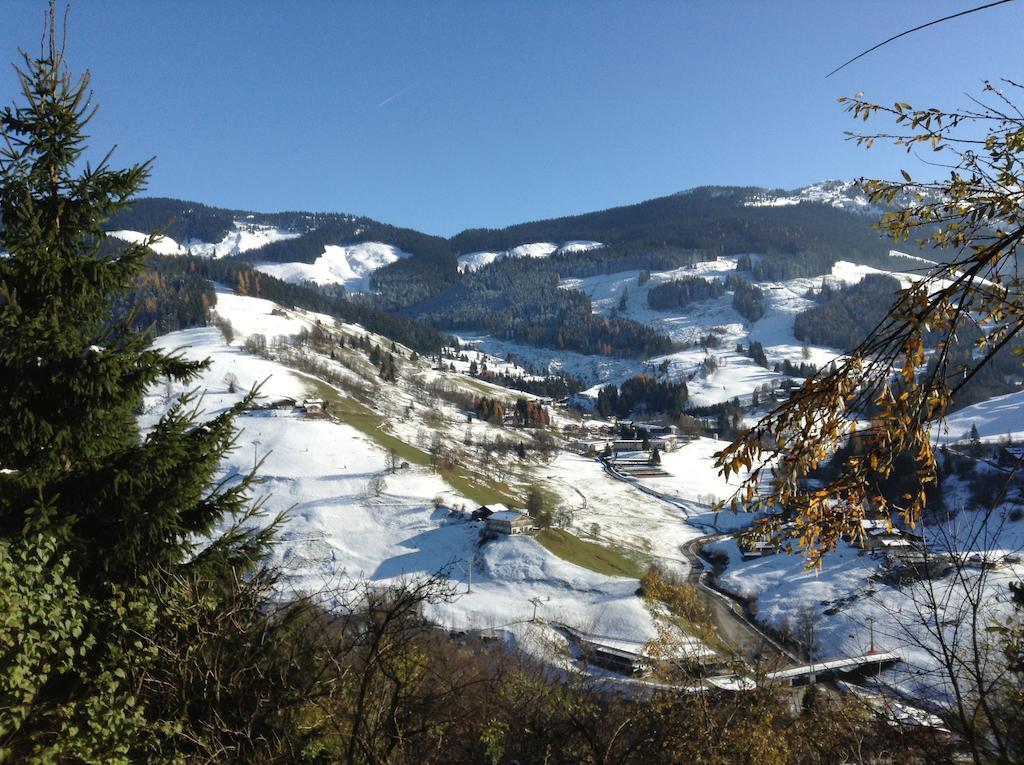 Ferienwohnung Klappacher Maria Alm am Steinernen Meer Luaran gambar