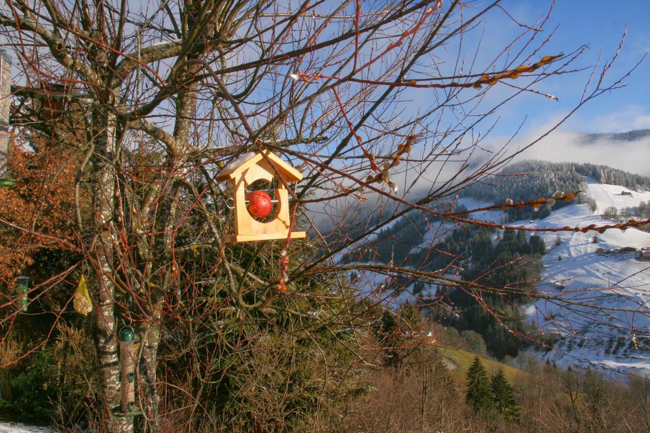Ferienwohnung Klappacher Maria Alm am Steinernen Meer Luaran gambar