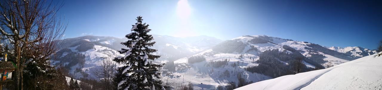 Ferienwohnung Klappacher Maria Alm am Steinernen Meer Luaran gambar