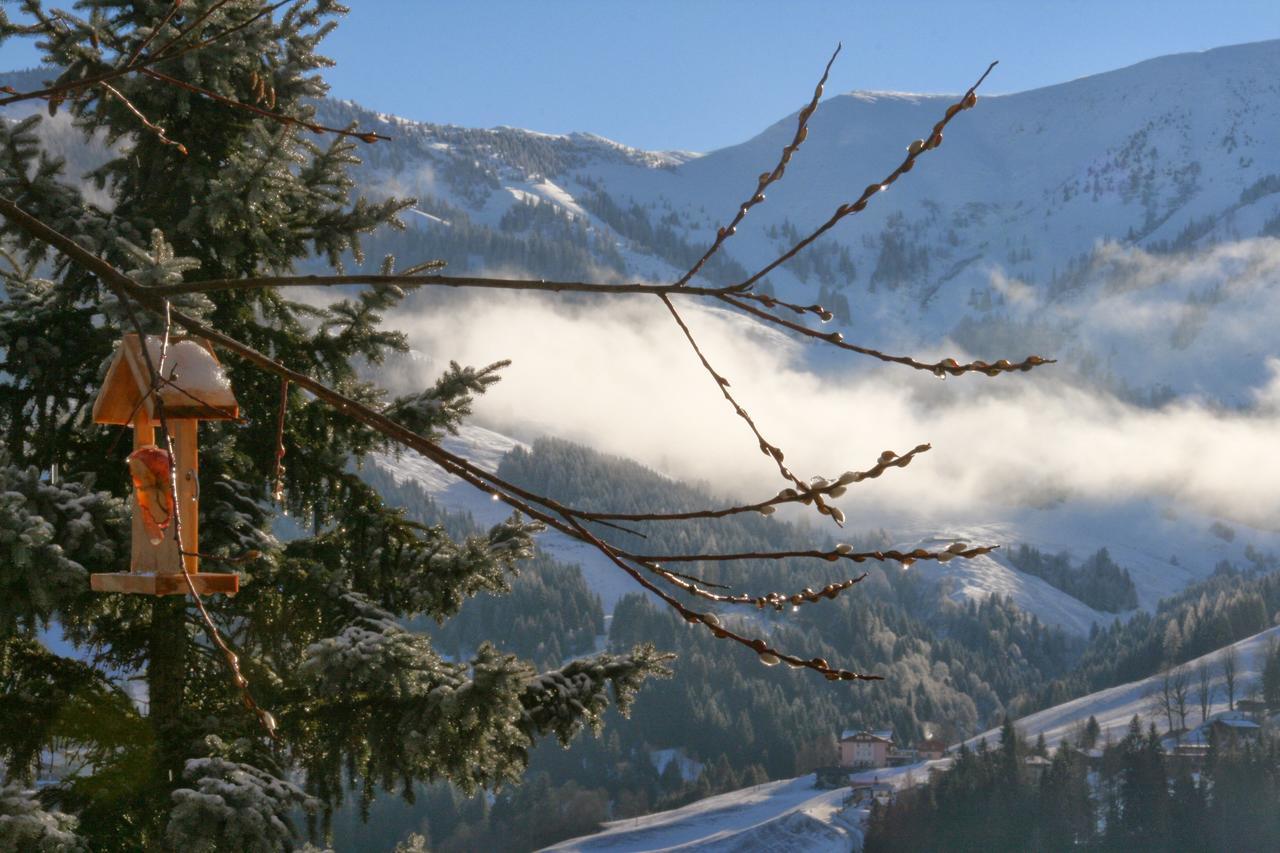 Ferienwohnung Klappacher Maria Alm am Steinernen Meer Luaran gambar